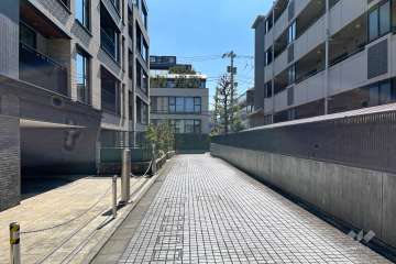 敷地の西側前面道路（北側から）
