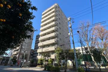 スカイコート神楽坂壱番館の外観（南東側から）