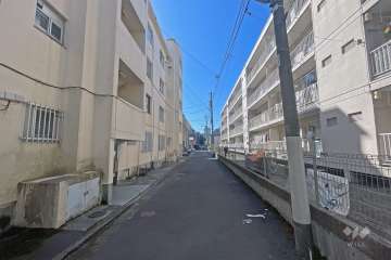 敷地の北側前面道路（東側から）