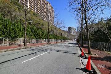 敷地北側の前面道路