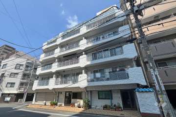 マンションヴィップ新宿柏木の外観（南東側から）