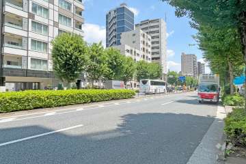 敷地南側の前面道路（西側から）