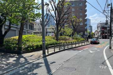 敷地の西側前面道路（北側から）