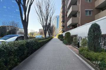 敷地の南側前面道路（東側から）