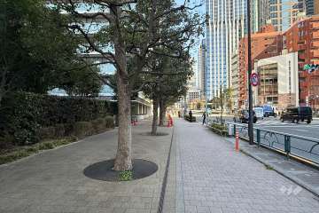 敷地の南側前面道路（西側から）