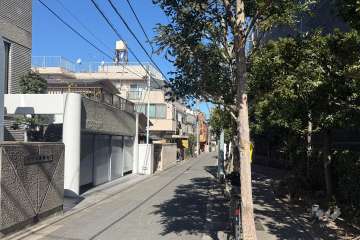 敷地の西側前面道路（南側から）