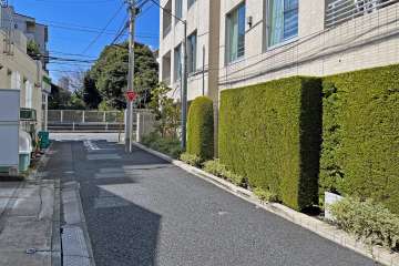 敷地の南側前面道路（東側から）