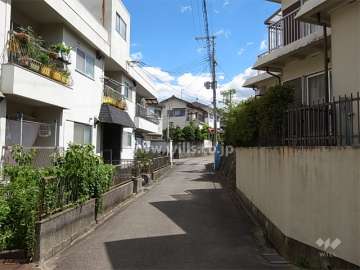 敷地南西側の前面道路。周辺は一戸建てが中心に立ち並ぶ高台の住宅地です。
