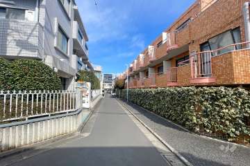 敷地の西側前面道路（南側から）