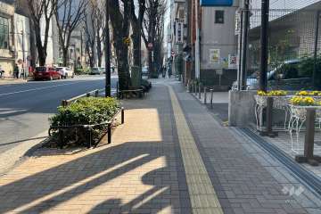 敷地の南東側前面道路（北東側から）
