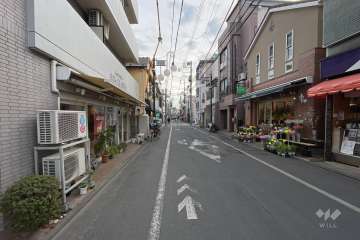 敷地西側の前面道路