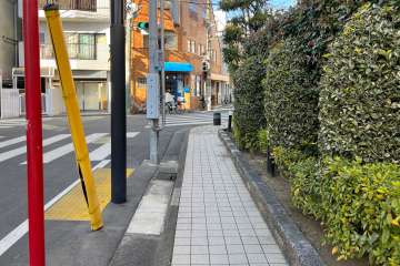 敷地の西側前面道路（南側から）