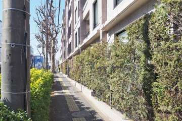 敷地南側の前面道路