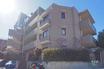 ロイヤルステージ井草の外観（北東側から）