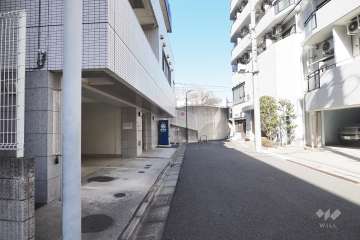 敷地東側の前面道路（南側から）