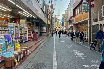 敷地西側の前面道路（北側から）