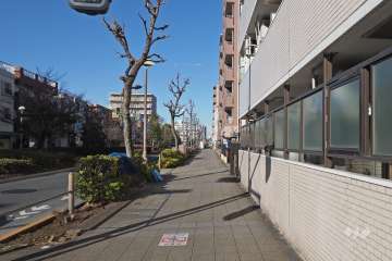 敷地西側の前面道路（南側から）