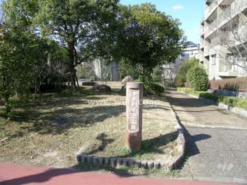 敷地の南側はうぐいす池公園