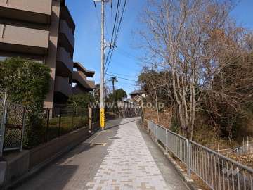 敷地東側の前面道路。周辺には雑木林や田畑が広がり、たいへん自然豊かな住環境です。