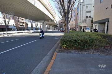 敷地北側の前面道路（西側から）