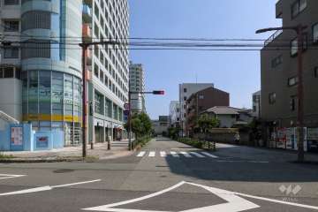 敷地東側の前面道路（北側から）