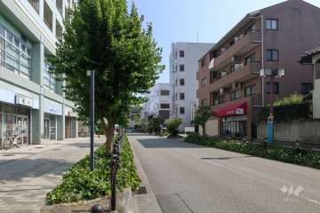 敷地東側の前面道路（北側から）