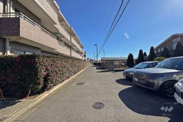 敷地南側の前面道路（西側から）