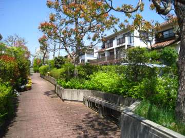 敷地内は緑豊かです