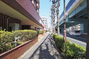 敷地東側の前面道路