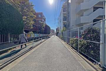 敷地の東側前面道路（北側から）