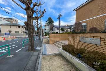 敷地北側の前面道路　