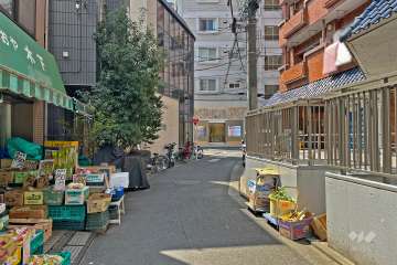 敷地東側の前面道路（北側から）