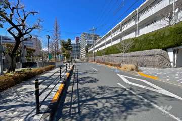 敷地南側の前面道路（東側から）