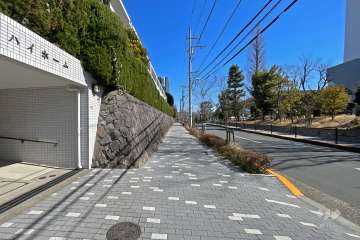 敷地南側の前面道路（西側から）