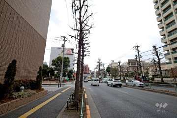 敷地西側の前面道路（北側から）