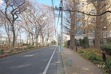 敷地西側の前面道路（南側から）