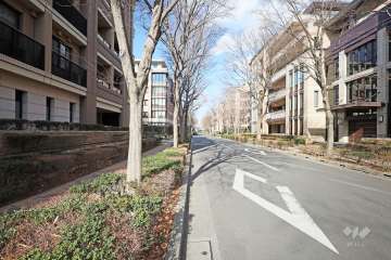 敷地東側の前面道路（南側から）