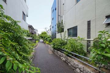 敷地北側の前面道路（西側から）