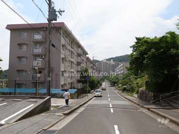 17号棟の北側の前面道路。