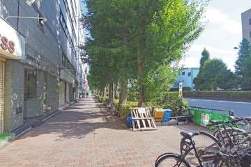 敷地西側の前面道路は環七通りです（北側から）