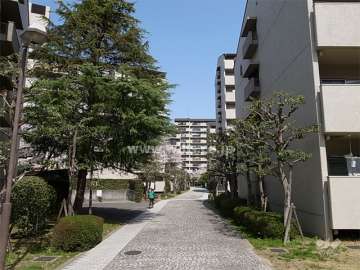 敷地中央の通路
