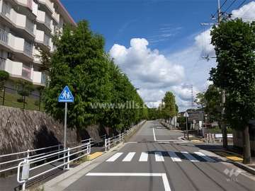 18号棟の南側の道路