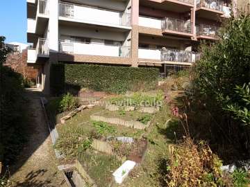 D棟の南東側には花壇スペースがあります。