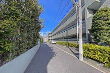 敷地の西側前面道路（南側から）