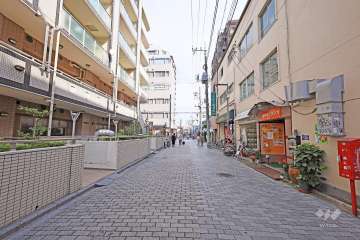 敷地南側の前面道路（西側から）