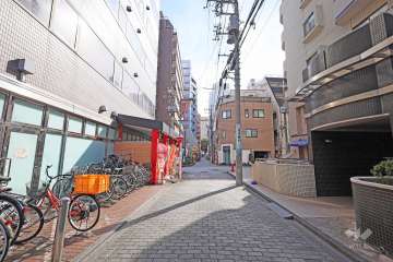 敷地東側の前面道路（北側から）