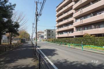 敷地南側の前面道路（東側から）