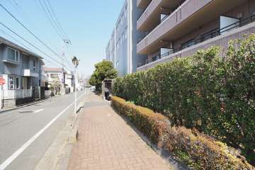 敷地西側の前面道路（南側から）