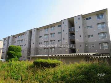 公社清和台住宅１２号棟の外観（北側から）