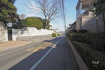 敷地北側の前面道路（西側から）